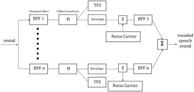 Effect of spectral degradation on speech intelligibility and cortical representation